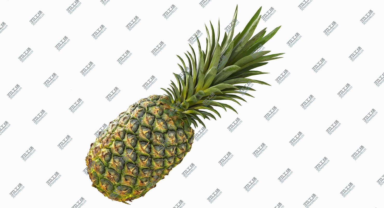 images/goods_img/20210319/Realistic Whole Pineapple 3D model/3.jpg